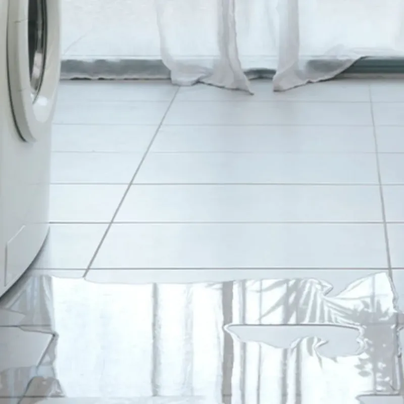 Appliance Leak Cleanup in Logan, IA