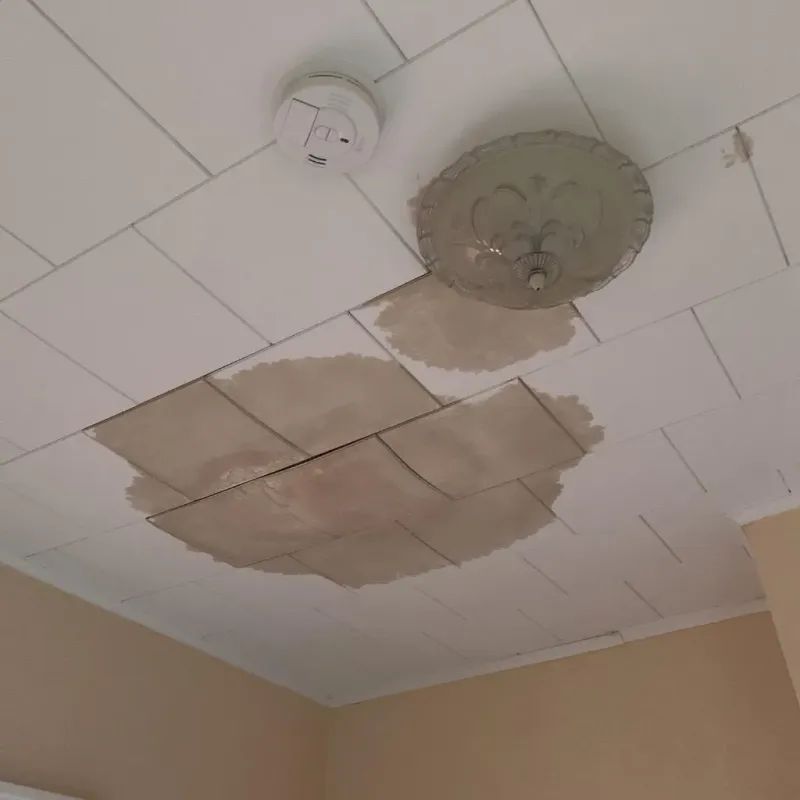 Ceiling Water Damage Repair in Logan, IA