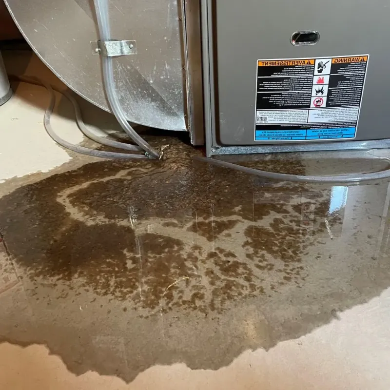 Pipe Burst and Leak Restoration in Logan, IA