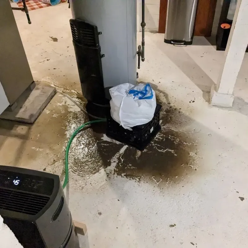 Sewage Backup Cleanup Service in Logan, IA